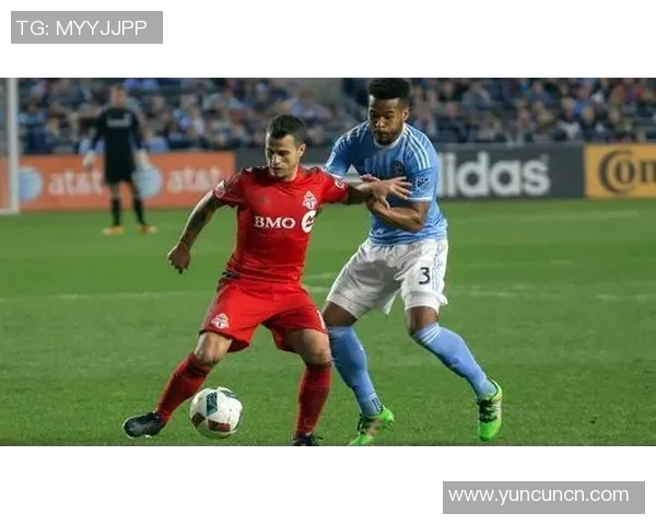 多伦多与急流的精彩对决揭示城市与自然的完美融合与碰撞