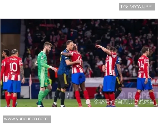 连菲特与些路迪的精彩对决揭示了足球战术的魅力与激情